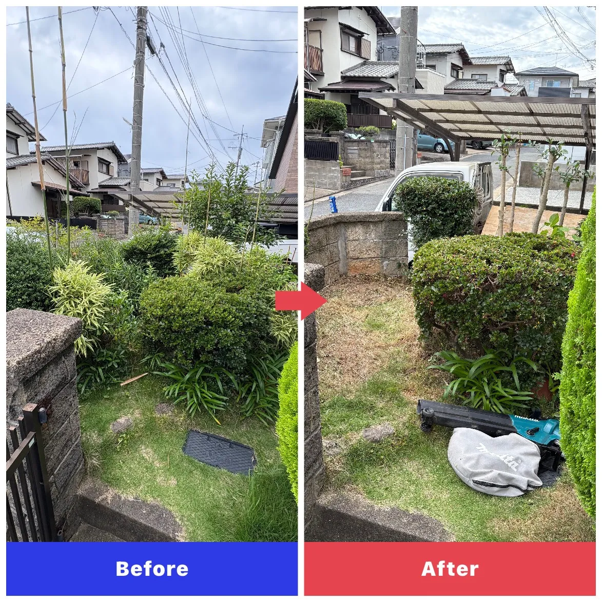 剪定作業