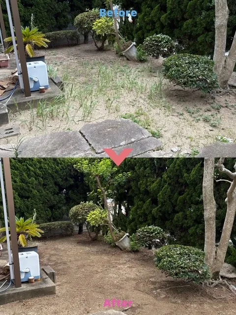 草取り作業