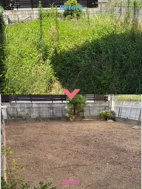草刈り作業