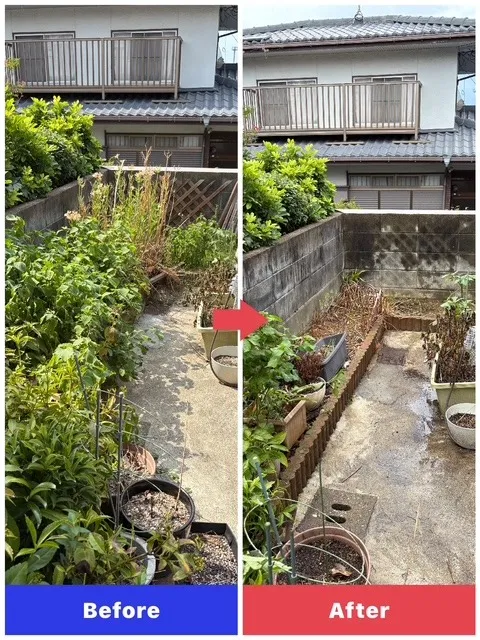 花壇の手入れ、草取り