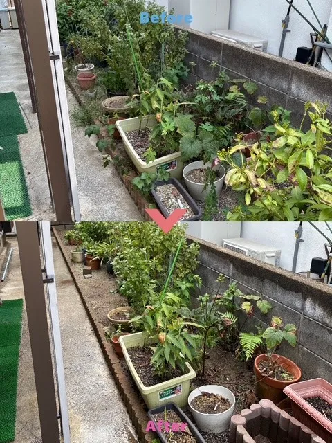 花壇の手入れ、草取り