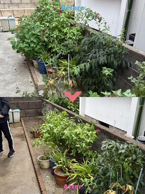 花壇の手入れ、草取り